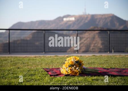 LOS ANGELES, CALIFORNIA, STATI UNITI - 22 novembre 2020: Un bouquet di girasole si trova su una coperta con le colline di Hollywood sullo sfondo. Foto Stock
