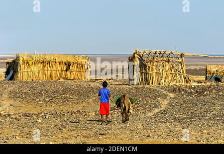 Kleiner Junge mit Esel in der Wüstensiedlung Hamadela, hinten traditionelle Unterkünfte der Afar Nomaden, HamadelaDanakil Senke, Afar Region, Äthiopie Foto Stock