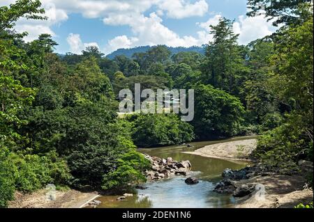 Il fiume Danum scorre attraverso la foresta pluviale di Dipterocarp, l'Area di conservazione della Valle di Danum, Sabah, Borneo, Malesia Foto Stock