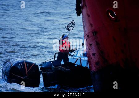 Le navi leggere nel Mare del Nord sono state trainate in porto prima di essere smantellate 1986 fotografate per Illustrated London News nel 1986 scansionate nel 2020 la maggior parte delle navi leggere britanniche sono state smantellate negli anni '70 - '80 e sostituite con carri leggeri o boe LANBY, che erano molto più economici da mantenere: Nel 1974, al tempo del progetto di sviluppo originale della Trinity House, i costi di gestione annuali della nave leggera a £30,000 erano dieci volte quelli della LANBY Foto Stock