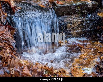 Piccola cascata autunnale, acqua che scende a scalini con foglie. Foto Stock