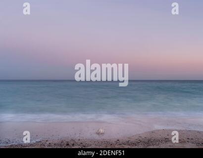 alba con conchiglia sulla spiaggia un'arte simbolica della natura design e decorazione naturale a lunga esposizione Foto Stock