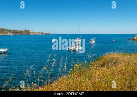 Le Site Classé de l'Anse de Paulilles, Occitanie, Francia. Foto Stock