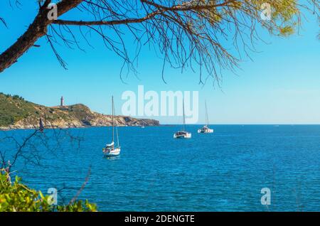 Le Site Classé de l'Anse de Paulilles, Occitanie, Francia. Foto Stock