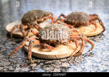 I granchi si avvicinano sulla parte superiore delle piastre di legno. Pesce in primo piano Foto Stock