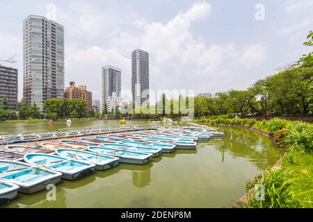 Barche allo stagno Shinobazu di Tokyo, Giappone Foto Stock