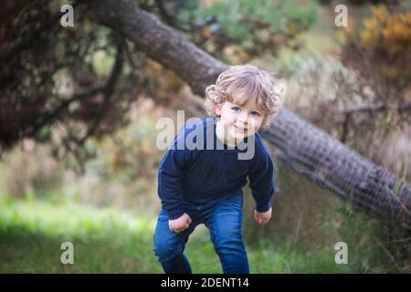 Il bambino gioca sotto un albero di pino Foto Stock