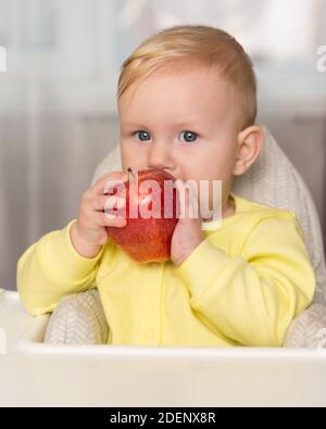 Una bambina mangia una grande mela rossa e guarda la macchina fotografica. Mobili per la casa, seggiolone Foto Stock