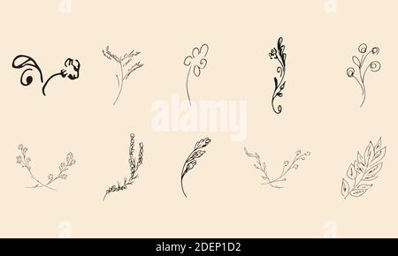 Doodle semplice collezione vettoriale di 10 elementi floreali disegnati a mano. Grande collezione di 10 rami disegnati a mano. Grande set floreale botanico. Isolato Illustrazione Vettoriale