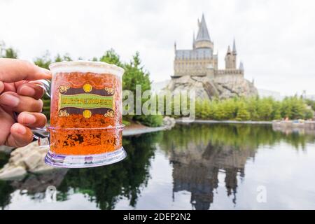 All'interno del parco a tema Wizarding World of Harry Potter di Osaka, Giappone Foto Stock