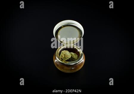 Erbacce. Germogli di cannabis su un vaso di ceramica isolato su sfondo nero Foto Stock