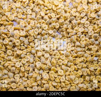 Cappelletti fatti a mano. Si tratta di pasta sotto forma di cappelli pelati (da qui il nome) ripieni di una miscela saporita. Ambienti alimentari non confezionati Foto Stock