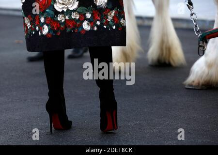 La First Lady Melania Trump riceve l'albero di Natale della Casa Bianca a Washington il 25 novembre 2019. L'albero premiante delle fattorie della valle di Mahantongo in Pennsylvania servirà da fulcro per le decorazioni natalizie nella stanza blu della Casa Bianca. Foto di Yuri Grippas/ABACAPRESS.COM Foto Stock