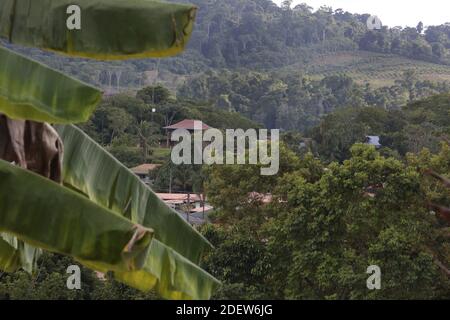 CACAO, GUYANA FRANCESE - 13 NOVEMBRE: La vita quotidiana dei rifugiati hmong il 13 novembre 2019 a cacao, Guyana francese. Gli Hmong sono un popolo del Sud-est asiatico delle montagne che sono stati perseguitati per 40 anni dai gouvernements del Laos e del Vietnam. Fu la guerra del Vietnam a rompere il loro isolamento. Dopo aver combattuto per la loro libertà con l'esercito francese nel 1950 e americano nel 1970 molti Hmong sono oggi rifugiati in Guyana francese e negli Stati Uniti.(Photo by Patrick Aventurier/ABACAPRESS.COM) Foto Stock