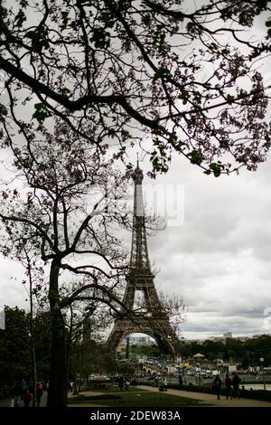 Vista completa della Torre Eiffel con gli alberi in primo piano in Parigi Foto Stock