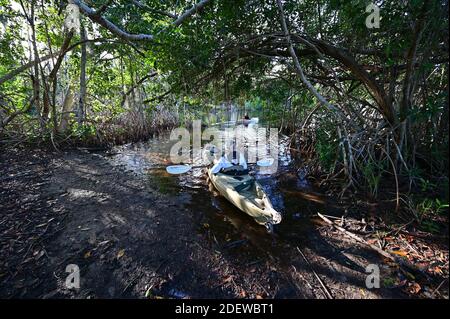 Everglades National Park, Florida - 30 novembre 2020 - attivo senior lancia il kayak a Coot Bay Pond nel soleggiato pomeriggio autunnale. Foto Stock