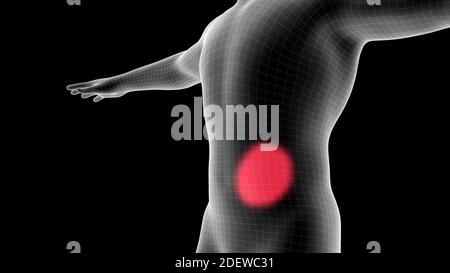 illustrazione 3d di un ologramma a raggi x maschile che mostra l'area del dolore sulla zona toracica Foto Stock