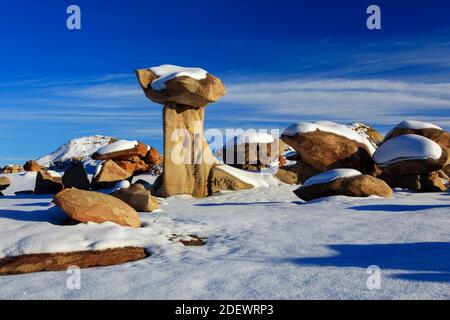 Geografia / viaggio, Stati Uniti, Bisti Badlands, monolito e Gesteinsaeule da pug e arenaria corposo, in , Additional-Rights-Clearance-Info-Not-Available Foto Stock