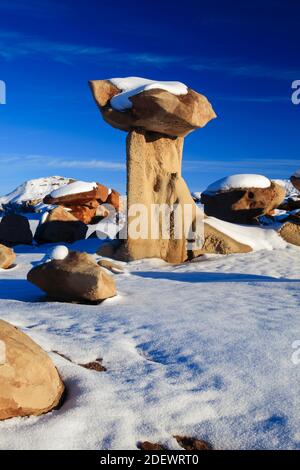 Geografia / viaggio, Stati Uniti, Bisti Badlands, monolito e Gesteinsaeule da pug e arenaria corposo, in , Additional-Rights-Clearance-Info-Not-Available Foto Stock