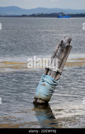 Primo piano di un palo ormeggio nella laguna di Orbetello Foto Stock