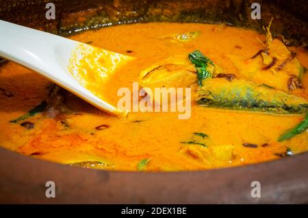 Primo piano di curry indiano di pesce Mackeral in una pentola di terra con un mestolo bianco immerso in esso Foto Stock