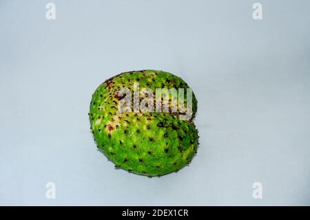 Frutta esotica di Soursop o mela di Prickly Custard (Annona muricata) su sfondo bianco Foto Stock