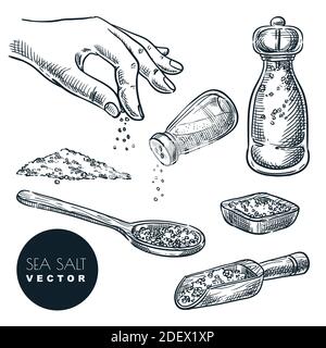 Shaker di sale inciso Illustrazione. Vasi di vetro disegnati a mano che  cucinano spezie disegno vettoriale in stile vintage per logo, ricetta,  menu, emblema, stampe di cibo, etichette, adesivi Immagine e Vettoriale 