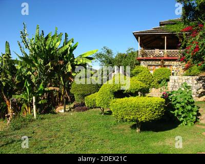 Piante nel giardino nel paese di Myanmar Foto Stock