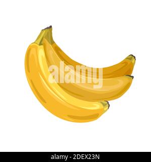 Mazzo di succulenti banane tropicali su sfondo bianco. Cartoni animati vettoriali per carte, striscioni, menu, ricette e la vostra creatività Illustrazione Vettoriale