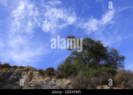 Percorsi per escursioni a piedi e in mountain bike nella Valle dell'Almanzora, Almeria Spagna Foto Stock