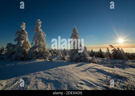 Geografia / viaggio, Germania, Sassonia-Anhalt, paesaggi, mattina invernale al Brocken, diritti aggiuntivi-clearance-Info-non-disponibile Foto Stock
