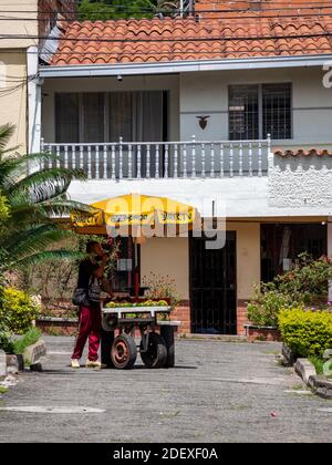 MEDELLIN, COLOMBIA - 16 novembre 2020: Medellin, Antioquia / Colombia - 15 2020 novembre: Giovane uomo che vende avocado in un carrello di ombrello Foto Stock