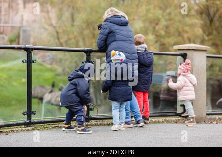 ZSL London Zoo, Regent's Park, Londra, Regno Unito, 2 dicembre 2020.ZSL London Zoo riapre al pubblico dopo un altro mese di blocco come una festa delle meraviglie - la magia del sentiero di Natale, una colorata celebrazione di Natale all'aperto. Credit: amanda Rose/Alamy Live News Foto Stock