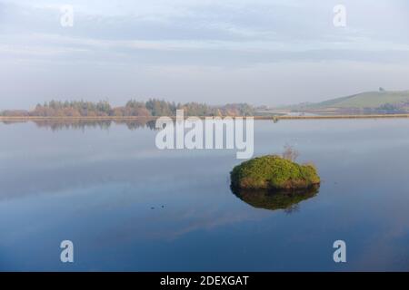 La luce solare invernale splende su una piccola isola piena di fogliame, che galleggia nel mezzo di ancora Redmire serbatoi d'acqua. Stagione autunnale. Foto Stock