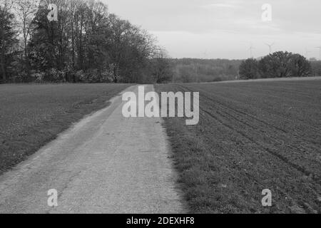 Un'immagine in scala di grigi di una strada in un campo circondato da bellissimi alberi Foto Stock