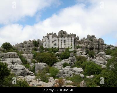 Paesaggio preistorico con rocce e alberi a El Torcal de Antequera, Andalusia, Spagna Foto Stock