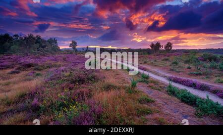 Iping, UK - 17 agosto 2020: Alba e nuvole tempestose all'inizio dell'autunno sopra la piume su Iping Common vicino a Midhurst nel South Downs National Park, Foto Stock