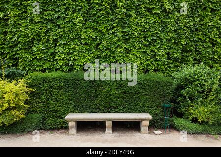 Garden Bench, Ivy Covered Wall, Hotel de Sully, quarto arrondissement, Parigi, Ile-de-France, Francia Foto Stock