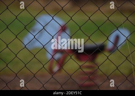 Una recinzione metallica a rete con una vecchia molla a cavallo dondolo dietro in un parco giochi Foto Stock