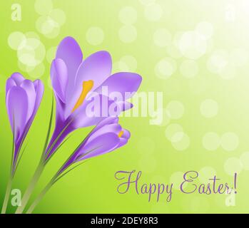 Felice scheda di Pasqua con l'illustrazione dei crocuses Foto Stock