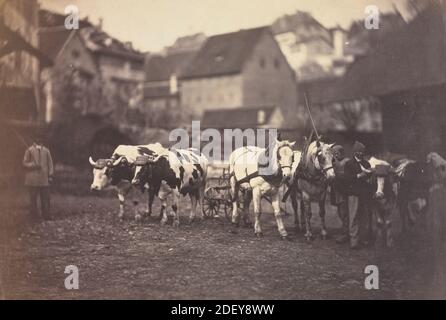 Untitled (animali da fattoria) Francia 1850's Adolphe Braun Foto Stock