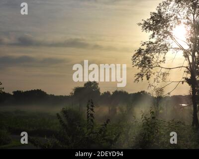 Alba precoce nella foresta di Clearing Prairie prato come sole Risplende attraverso l'albero con i raggi del sole che riempiono arancione e giallo Cielo con linee di nuvole Foto Stock