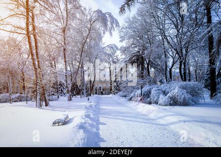 Tramonto o alba in un parco invernale con alberi, panchine e un marciapiede coperto di neve e raggi solari che brillano attraverso i rami. Foto Stock