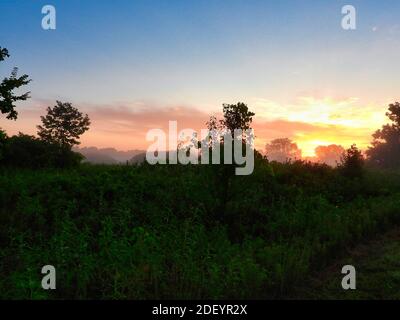 Alba sopra la Prairie a Dawn con brillante giallo e arancione sole che passa attraverso gli alberi in una mattina d'estate illuminare vari alberi, cespugli erba Foto Stock