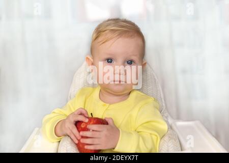 Una bambina piccola con una grande mela rossa dentro le sue mani sono sedute in una sedia alta e osservano alla fotocamera Foto Stock