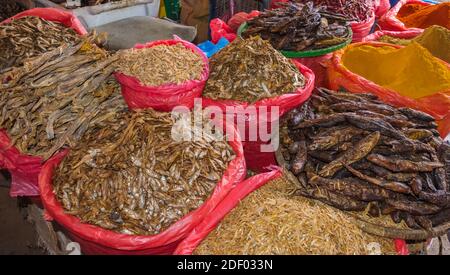 Vendita di pesce al mercato, Kathmandu, Nepal Foto Stock