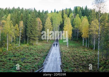 Ponte di legno su palafitte attraverso le zone umide. Museo all'aperto 'malye Korely'. Russia, regione di Arkhangelsk Foto Stock
