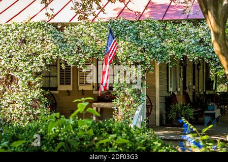 Tipico edificio residenziale americano in Carolina del Sud con cucina americana bandiera e fiori bianchi clematis arrampicata all'esterno in giardino Foto Stock