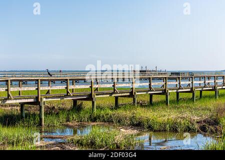 Hog Island Channel Water da Mount Pleasant a Charleston, Carolina del Sud, con banchina in legno e verde erba vista paesaggio nel sud città Vill Foto Stock