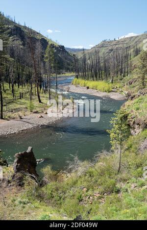 Il fiume Wenaha nel nord-est dell'Oregon. Foto Stock